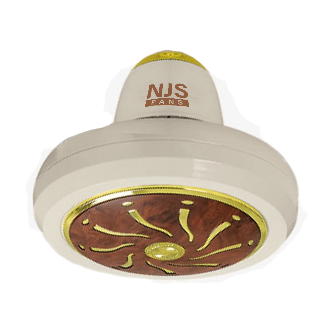 NJS Icon model ceiling fan in off-white color with wood texture and golden design in center, off-white blades on white background
